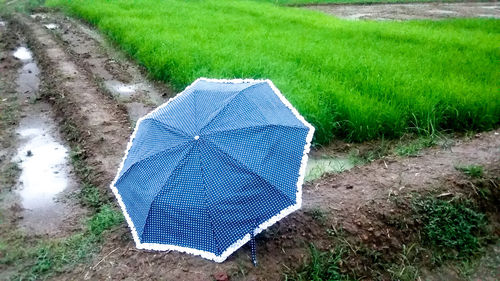 High angle view of beach umbrella on field