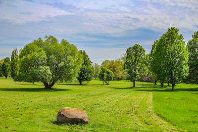 Trees on field against sky
