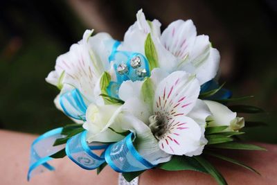 Close-up of flowers