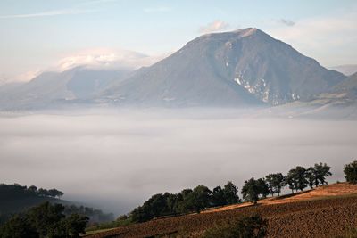 Scenic view of agricultural field against sky