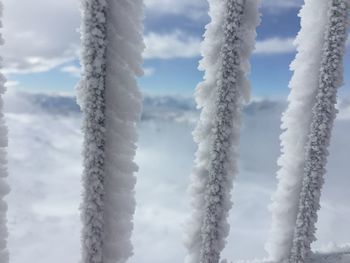 Low angle view of airplane flying against sky