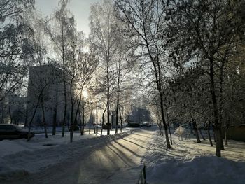 Snow covered trees against sky