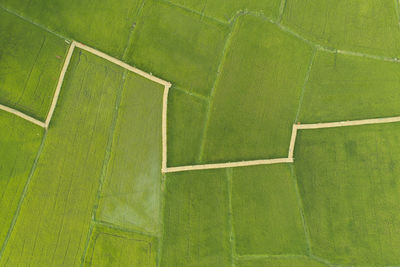 Full frame shot of agricultural field