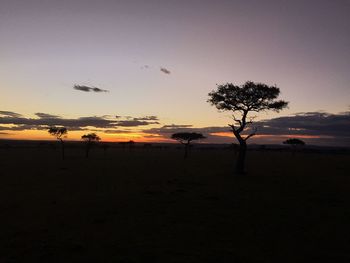 Silhouette trees on landscape against sky at sunset