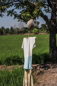 Clothes hanging on wooden post in field