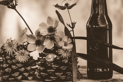 Close-up of flowering plant in glass vase on table