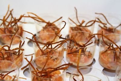 Close-up of food on table