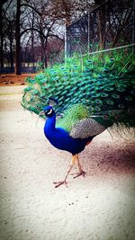 Close-up of black and white background