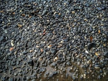 Full frame shot of pebbles on beach