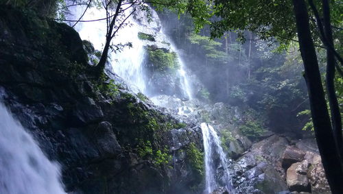 Scenic view of waterfall in forest