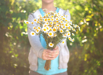 Midsection of person holding flowering plant