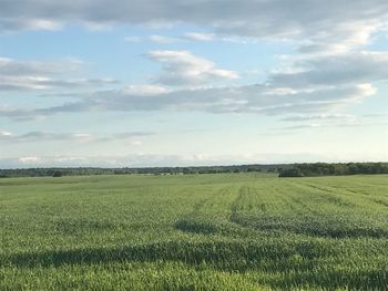 Scenic view of field against sky