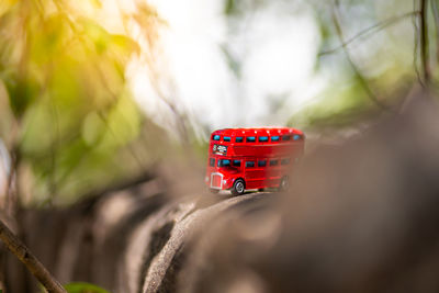 Close-up of red jar on table