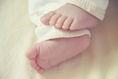 Cropped image of baby holding hand