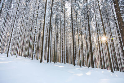 High angle view of snow covered field