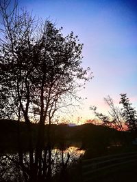 Low angle view of silhouette trees by lake against sky