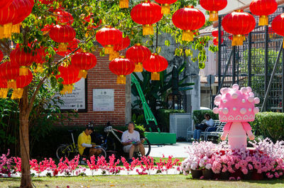 View of colorful flowers in front of building