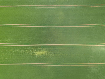 Full frame shot of soccer field