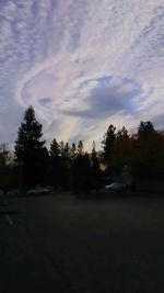 Trees against sky during sunset