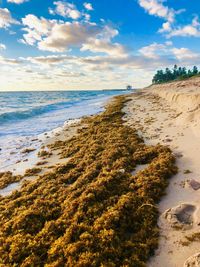 Scenic view of beach against sky