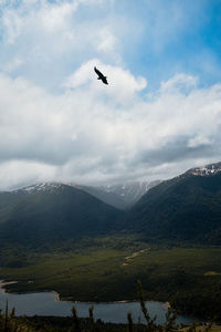 Bird flying over mountains against sky