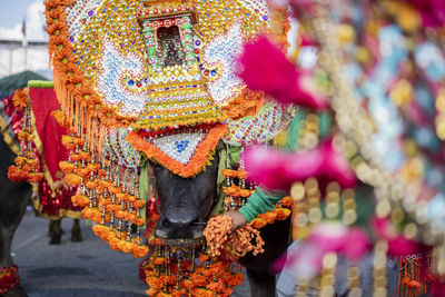 Rear view of woman wearing hat