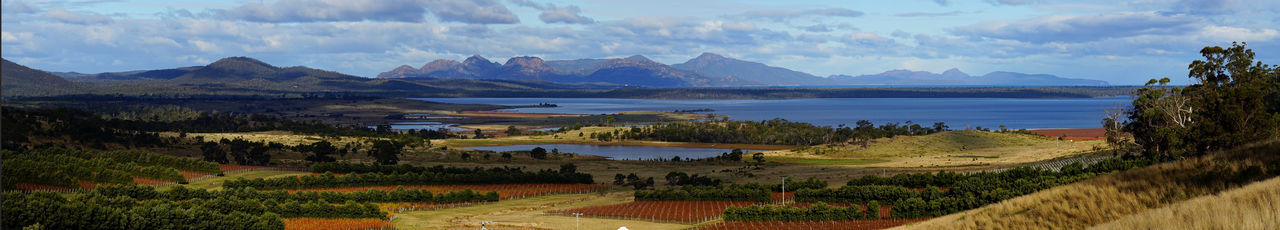 Panoramic view of agricultural field against sky