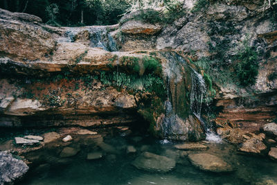 Rock formation in river amidst trees in forest