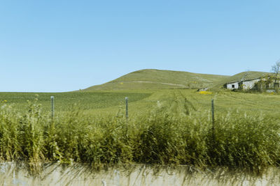 Scenic view of field against clear sky