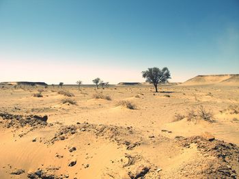 Scenic view of desert against clear sky