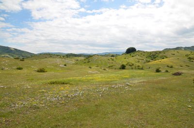 Scenic view of landscape against sky