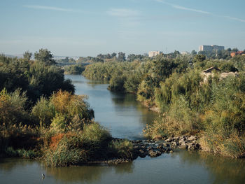 Scenic view of river by trees against sky