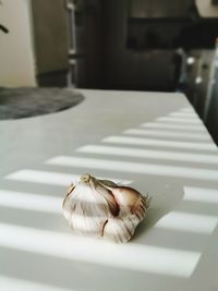 High angle view of garlic on table