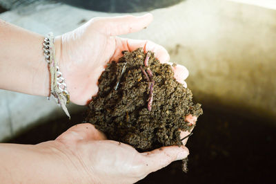 Close-up of person holding soil