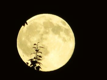 Scenic view of moon against sky at night