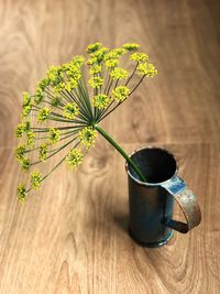 Close-up of plant on table