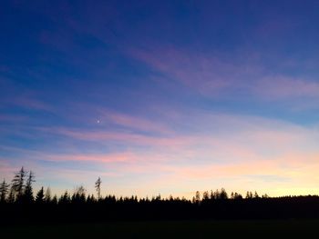 Silhouette of trees on landscape at sunset