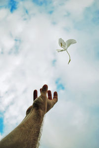 Close-up of hand and flower against cloudy sky