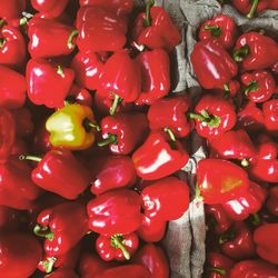 Full frame shot of red bell peppers