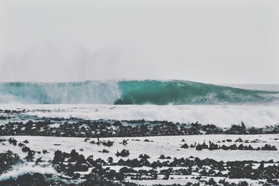 Scenic view of sea