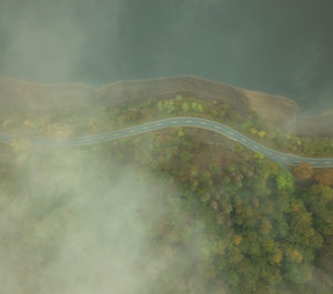 High angle view of road amidst plants against sky