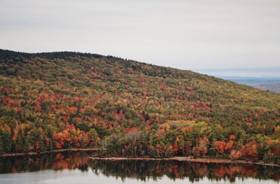 Scenic view of lake by trees against sky