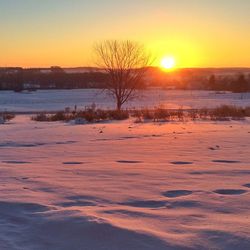 Sun shining through trees on snow covered field