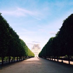 Empty road leading towards trees