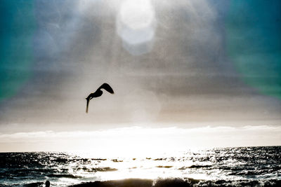 Bird flying over sea against sky