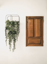 Directly above shot of potted plant against white wall