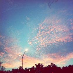 Low angle view of trees against sky at sunset