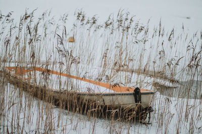 Scenic view of lake during winter