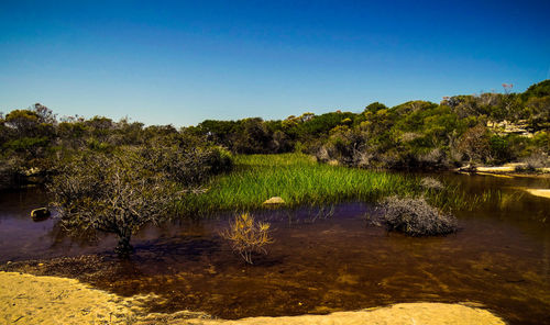 Scenic view of lake against clear blue sky