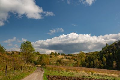 Road amidst trees against sky